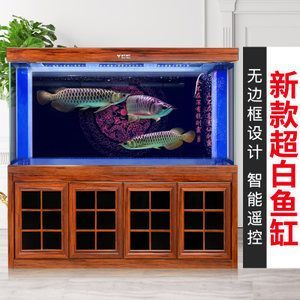 龍魚價格排名前十的品種是什么 龍魚百科 第2張