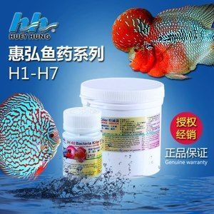 龍魚白點(diǎn)病怎么治最好的方法 龍魚百科 第1張