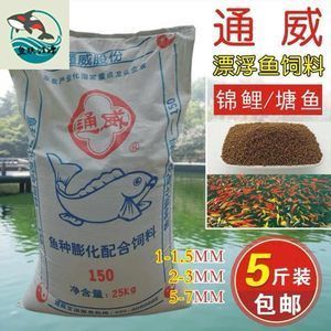 小龍魚吃什么飼料好養(yǎng) 龍魚百科 第1張