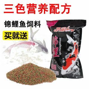 小龍魚吃什么飼料好養(yǎng) 龍魚百科 第2張