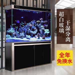 辦公室養(yǎng)金龍魚的風(fēng)水講究 龍魚百科 第1張