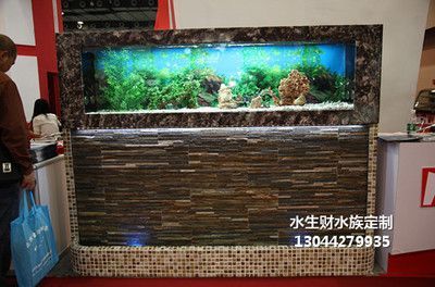 辦公室養(yǎng)金龍魚的風(fēng)水講究 龍魚百科 第3張