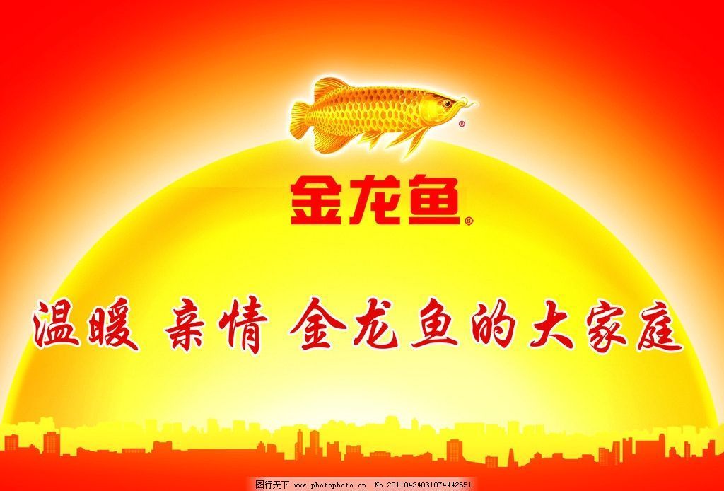 金龍魚大家庭廣告 龍魚百科