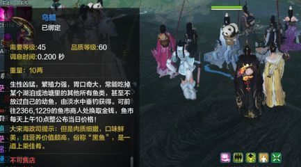 金龍魚品質(zhì)等級(jí) 龍魚百科