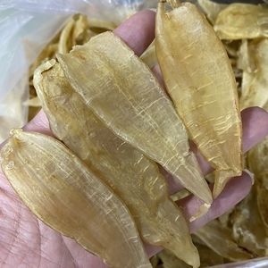 大龍魚如何撈出來養(yǎng) 龍魚百科 第1張