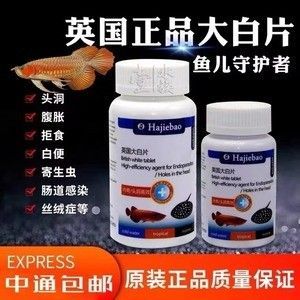 龍魚沒食欲用內(nèi)寄大白片可以嗎怎么喂