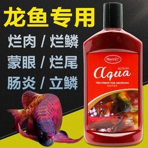 龍魚爛尾用什么藥效果好一點呢 龍魚百科