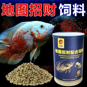 龍魚喂飼料好還是魚好吃點呢 龍魚百科