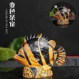 金龍魚變色的階段是什么樣的 龍魚百科 第2張