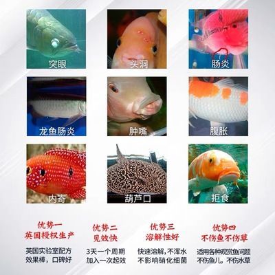 龍魚怎么預(yù)防內(nèi)寄蟲病發(fā)病呢