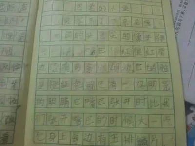 龍魚的作文怎么寫300字左右