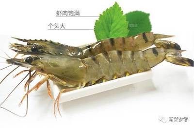 龍魚光吃蝦肉可以么