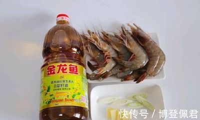 金龍魚吃蝦又吐出來