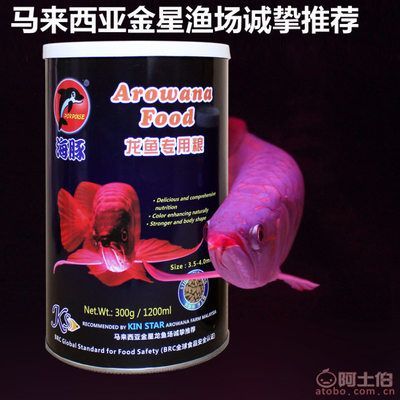 龍魚觀賞魚飼料推薦品種有哪些