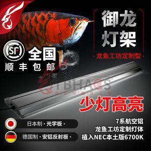 龍魚工坊旗艦店