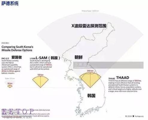 薩德斯塔龍魚芯片查詢：如何查詢薩德斯塔龍魚芯片？ 龍魚百科 第1張