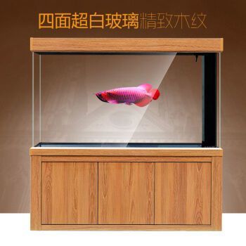 品牌龍魚(yú)缸：如何選擇品牌龍魚(yú)缸