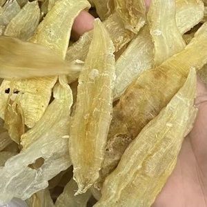 金龍魚膠有幾種：金龍魚膠的種類