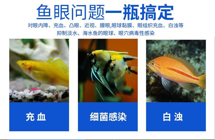 龍魚白眼怎么治療：龍魚白眼怎么治療龍魚白眼治療方法 龍魚百科 第2張