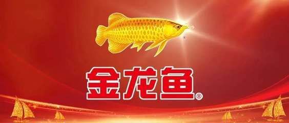 金龍魚 注冊地：金龍魚在法律上的注冊地和實際運營地可能存在差異 龍魚百科 第1張