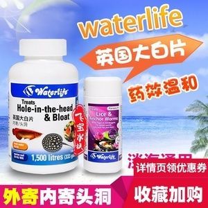 龍魚專用藥：常用的龍魚專用藥有哪些