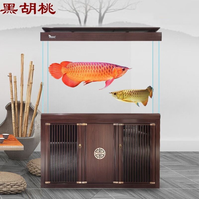 cctv6金龍魚：80厘米的魚缸適合養(yǎng)龍魚嗎？ 龍魚百科 第2張