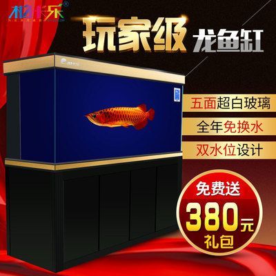 龍魚缸的水位多少合適：養(yǎng)龍魚時(shí)，龍魚缸的水位多少合適，