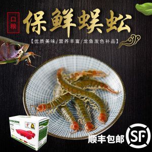 龍魚吃蜈蚣多久會發(fā)色正常：龍魚吃蜈蚣多久會發(fā)色