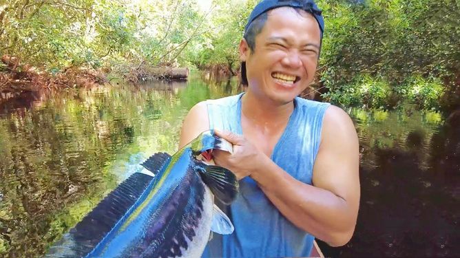 野外雷龍魚怎么抓：如何在野外捕捉雷龍魚 龍魚百科 第1張