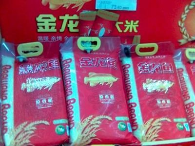 金龍魚怎么區(qū)分真假：如何區(qū)分金龍魚的真假 龍魚百科 第2張