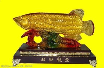 龍魚真的招財(cái)嗎：龍魚在風(fēng)水學(xué)中具有招財(cái)?shù)淖饔? title=