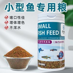 金龍魚喂錦鯉飼料可以嗎怎么喂好：喂食金龍魚飼料給錦鯉可以嗎 龍魚百科