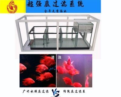 龍魚缸用什么過濾器好用：選擇適合龍魚缸的過濾器 龍魚百科