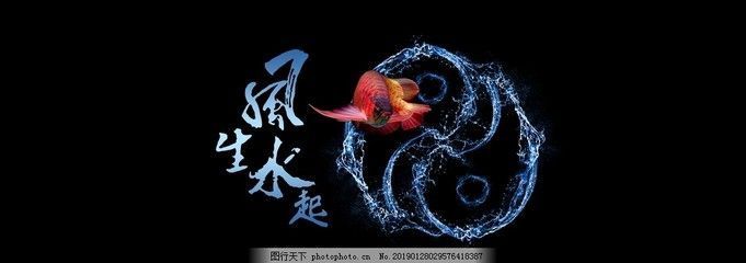 紅龍魚魚缸背景：關(guān)于紅龍魚魚缸背景顏色的一些詳細(xì)信息