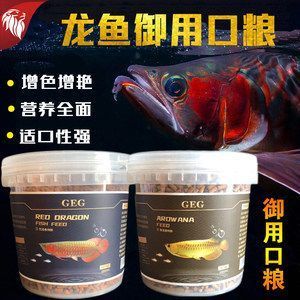 紅龍魚多長時間喂一次魚食：紅龍魚喂食頻率的建議