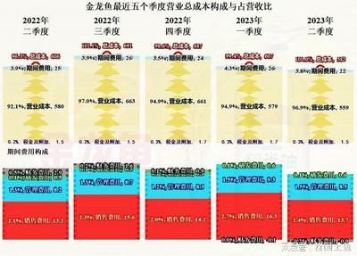 最貴的龍魚多少錢：20厘米大小的金龍魚喂食頻率 龍魚百科 第2張