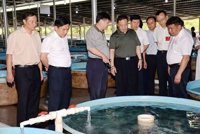 大麥蟲怎么喂龍魚：如何撈取和轉(zhuǎn)移大龍魚 龍魚百科 第2張