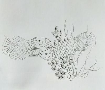 工筆畫金龍魚白描教程：工筆畫金龍魚白描教程教程 龍魚百科