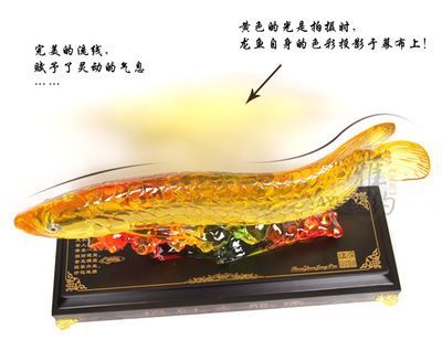 巨大金龍魚(yú)：巨大金龍魚(yú)在b站上有多個(gè)與金龍魚(yú)相關(guān)的視頻內(nèi)容