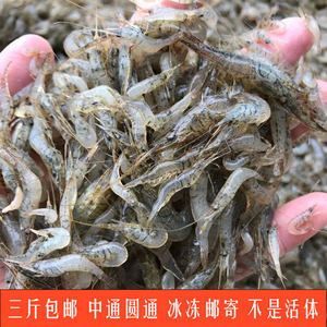 金龍魚吃蝦用去皮嗎：喂食金龍魚時需要去皮嗎？ 龍魚百科 第1張