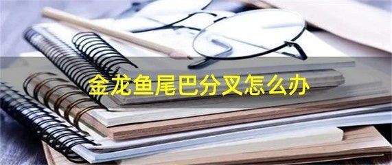 金龍魚尾巴分叉怎么辦：金龍魚尾巴分叉的原因和解決方法和解決方法