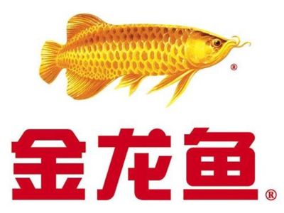 金龍魚干嘛用的：金龍魚作為食品品牌的用途主要是生產(chǎn)和銷售各類糧油產(chǎn)品 龍魚百科 第3張