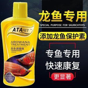 紅龍魚(yú)怎么調(diào)理狀態(tài)：如何調(diào)理紅龍魚(yú)的狀態(tài)