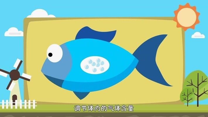 龍魚死了是沉底還是浮上來的原因：龍魚在死亡后是沉底還是浮上來