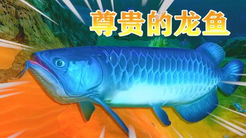 龍魚可以吃蜜蜂嗎：龍魚可以食用蜜蜂嗎，龍魚可以吃蜜蜂嗎， 龍魚百科