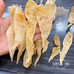 金龍魚膠是野生的嗎：金龍魚膠是否為野生，從以下幾個方面進(jìn)行探討金龍魚膠