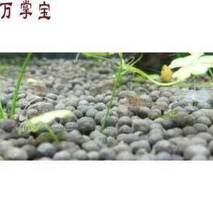 龍魚水溫多少度合適冬眠養(yǎng)呢：冬季養(yǎng)龍魚時(shí)水溫控制到略低于24℃的水平