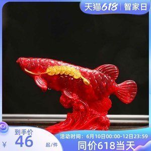 金龍魚變金色過程：金龍魚變金色過程的詳細解析