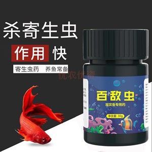 龍魚如何殺蟲用什么藥好：龍魚被寄生蟲感染怎么辦