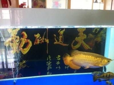 養(yǎng)龍魚的人送什么禮物：喜歡養(yǎng)龍魚的人應(yīng)該如何選擇禮物？ 龍魚百科 第1張